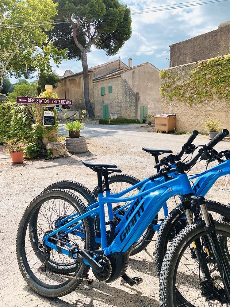 Les balades au cœur des vignes à vélo électrique