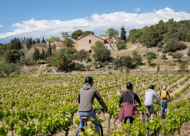 Les balades au cœur des vignes à pied.